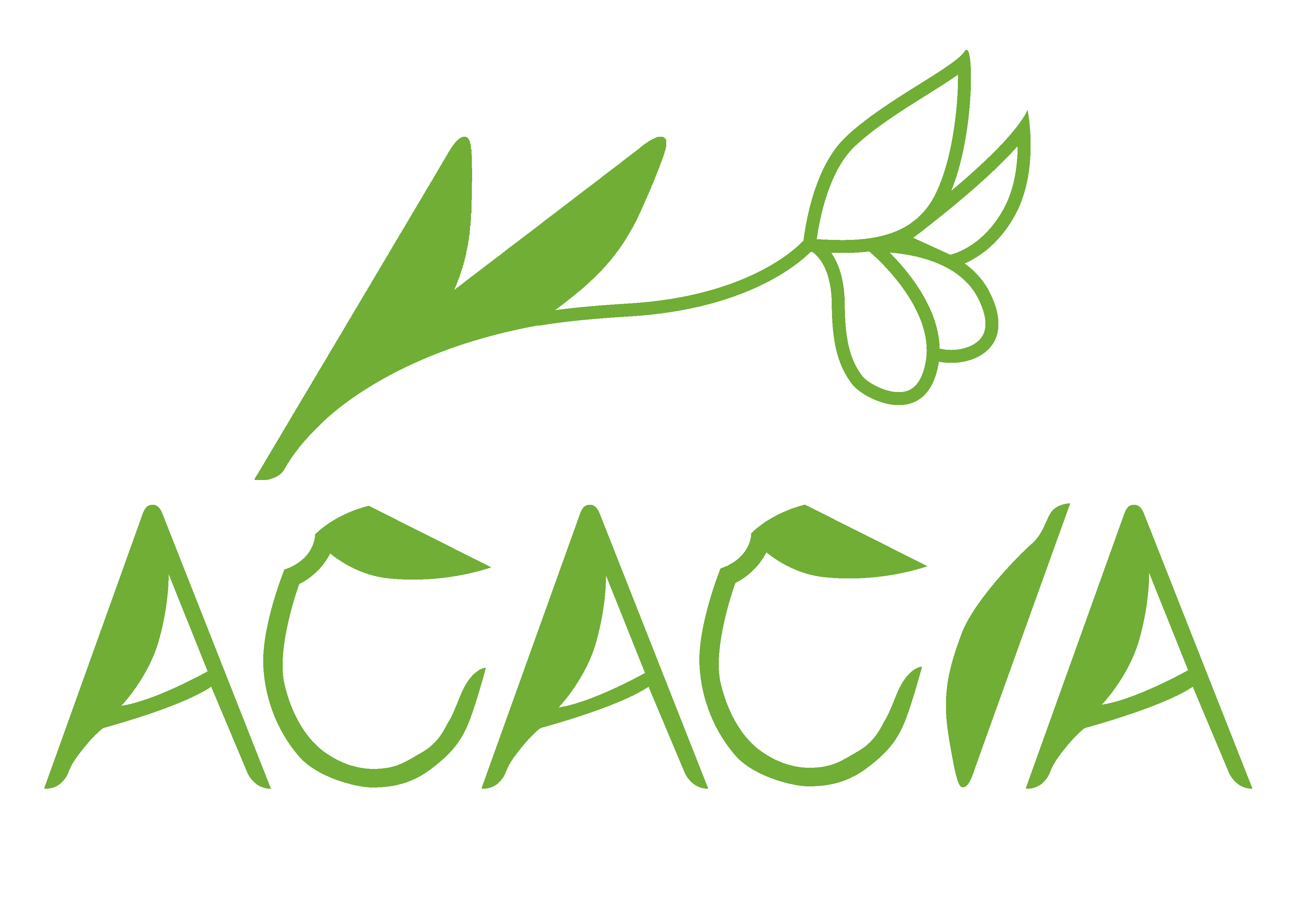 Acacia